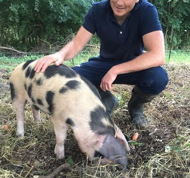 Rose Cottage Smallholding