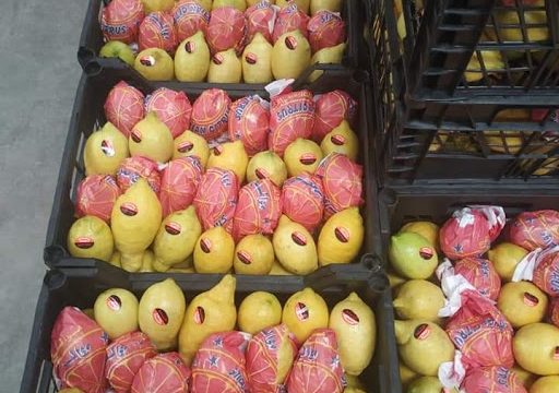 Egypt Fruit Co.