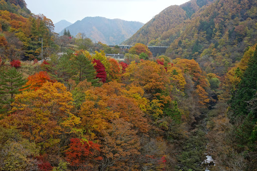 Hida Takayama Distillery