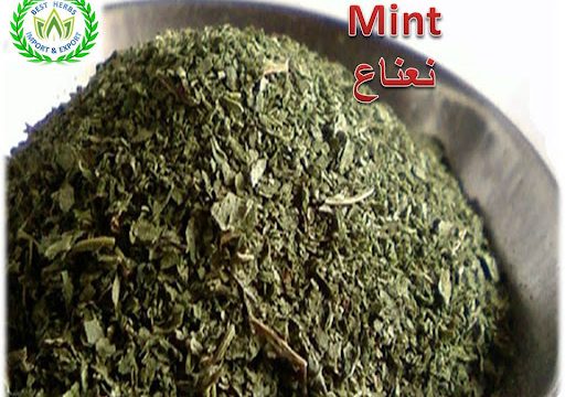 company best herbs