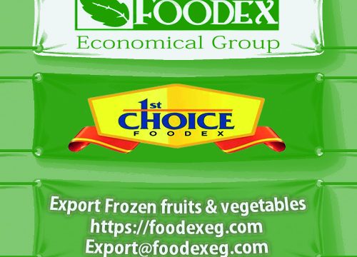 Foodex For import and export