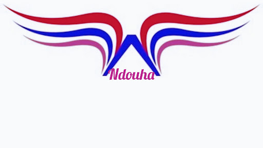 Ndouha Inc 合同会社 / S.A.S