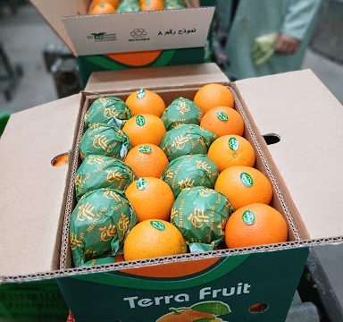 terra fruit for export