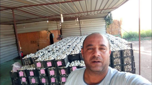 GARLIC HOUSE COMPANY FOR EXPORT