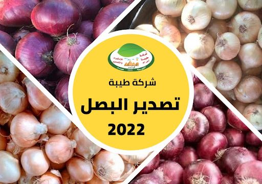 شركة طيبة – للتوريدات العامة اعشاب طبية ونباتات